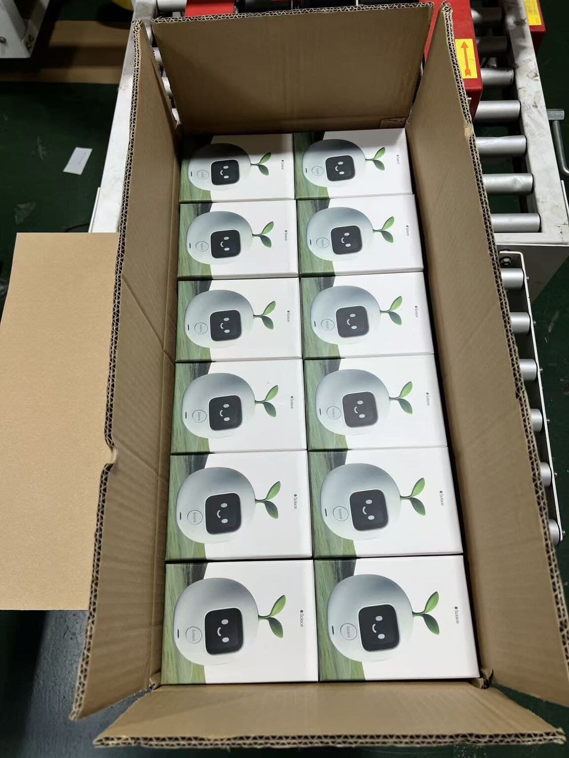A carton of Seeds, boxed and ready to ship